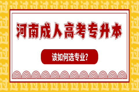 河南成人高考专升本该如何选专业？