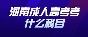 河南成人高考考什么科目