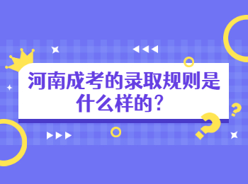 河南成考的录取规则是什么样的？