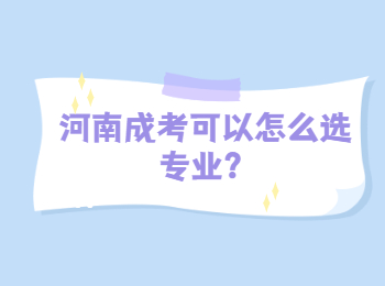 河南成考可以怎么选专业？