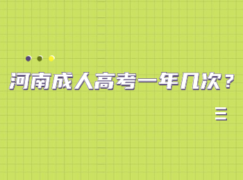 河南成人高考一年几次？