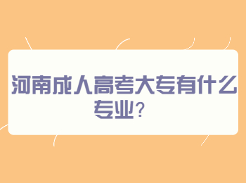 河南成人高考大专有什么专业？