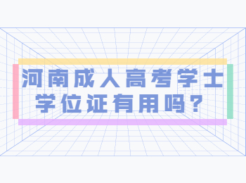 河南成人高考学士学位证有用吗？