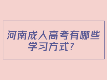 河南成人高考有哪些学习方式？