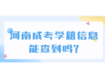 河南成考学籍信息能查到吗?