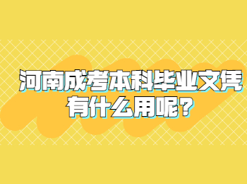 河南成考本科毕业文凭有什么用呢?