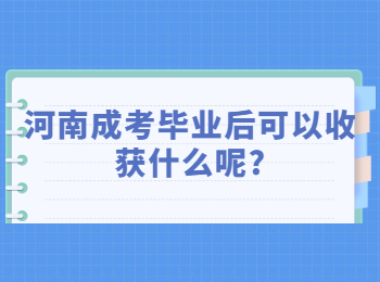 河南成考毕业后可以收获什么呢?