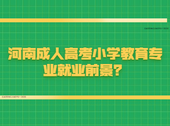 河南成人高考小学教育专业就业前景？