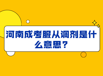 河南成考服从调剂是什么意思?