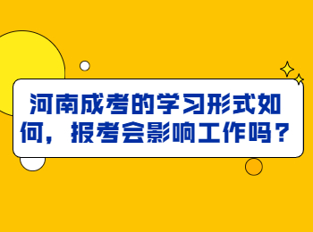 河南成考的学习形式如何，报考会影响工作吗?