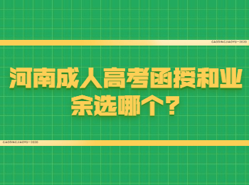 河南成人高考函授和业余选哪个?