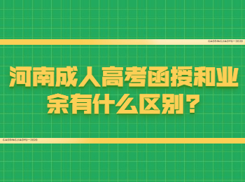 河南成人高考函授和业余有什么区别?