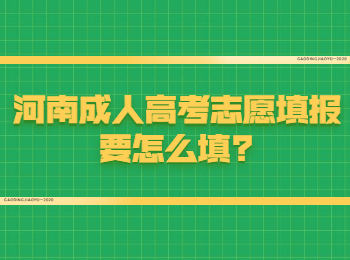 河南成人高考志愿填报要怎么填?