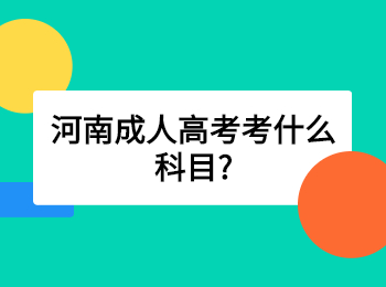 河南成人高考考什么科目?