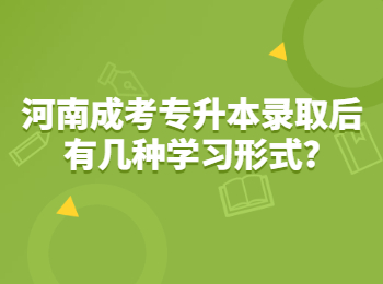 河南成考专升本录取后有几种学习形式?