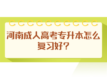 河南成人高考专升本怎么复习好?