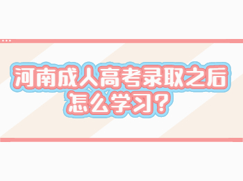 河南成人高考录取之后怎么学习？