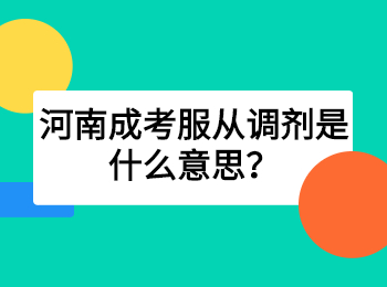 河南成考服从调剂是什么意思？