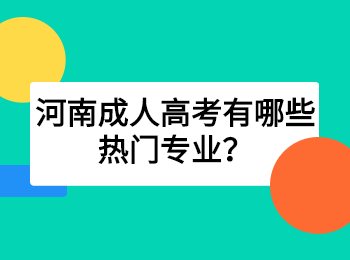 河南成人高考有哪些热门专业？