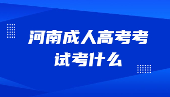 河南成人高考考试