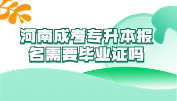 河南成考专升本报名