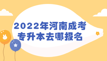 河南成考专升本去哪报名