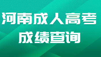 河南成人高考成绩查询