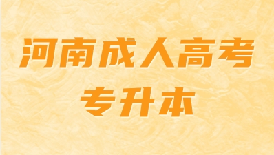 河南成考专升本考研注意事项?